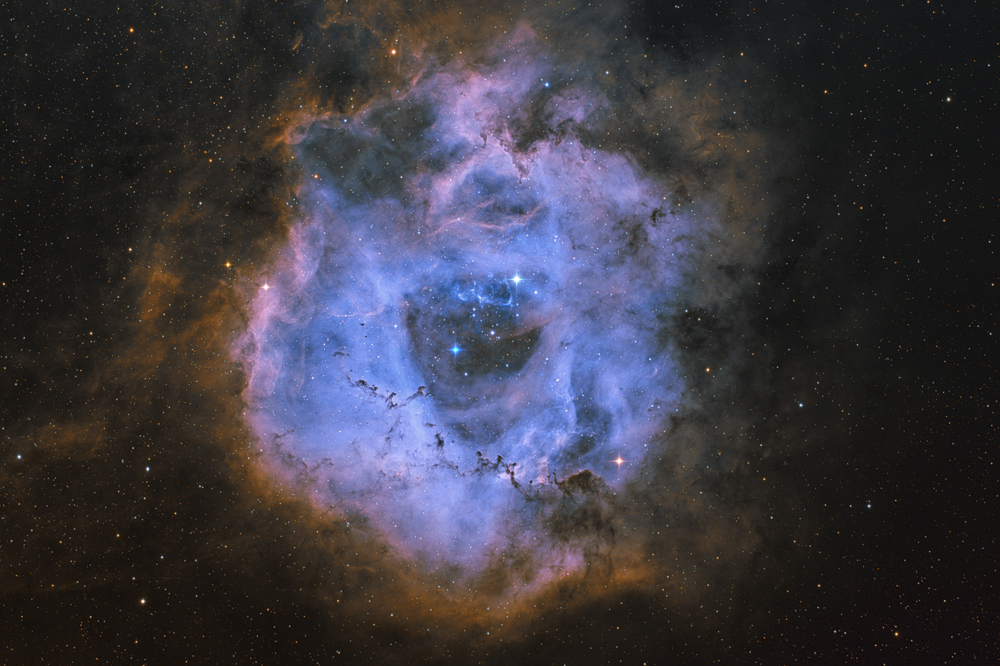 Rosette Nebula
